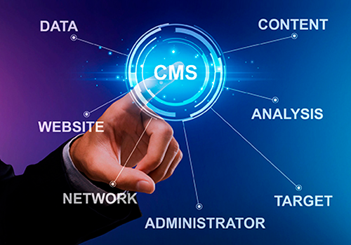 CMS Web Development